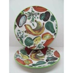 LA PRIMULA  Fruit Dinner Plates 10.25” Made in Italy Bundle of 2